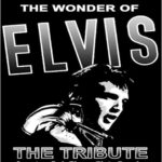 The Wonder Of Elvis