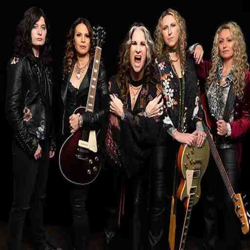 Ragdolls - Tribute to Aerosmith