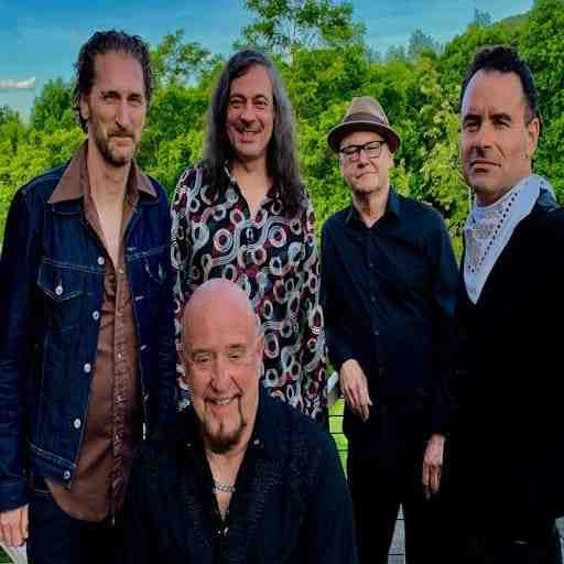 The Fabulous Thunderbirds